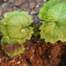 이레축산2 이미지