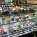 블랑제리에비타숑 | [경기 | 고양] 블랑제리에비타숑 / 일산 주엽역 빵집 맛집 추천 / 크리스마스 케이크 당일 구매