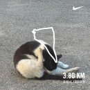 옥돌PC방 | 81.(new!!!)