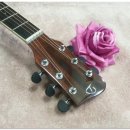 클래식&포크기타(실용) 이미지