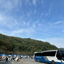 나도김밥 | 김천 김밥축제 2025 나도 다녀온 후기