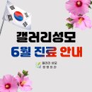 갤러리성모정형외과의원 | [공지] 대전 갤러리성모정형외과 6월 진료 안내