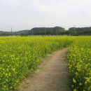 낭만가도 이미지