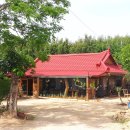 자연을 닮은 집 이미지