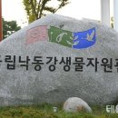 국립낙동강생물자원관 이미지