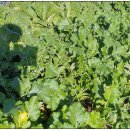 재학농장 이미지