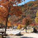 달궁자동차야영장 이미지