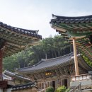 일향(一香) 이미지