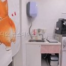 곤스튜디오