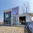 전주 애견카페 영필드 3000평 잔디에서 뛰어놀고 베이글까지