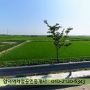 32번국도 이미지