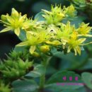 기린초등학교 이미지