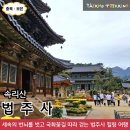 대웅슈퍼 | (충북 보은) 천년 고찰에 핀 국화 향기, 장엄한 산사의 깊은 울림 법주사 기행