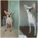 신공항동물병원 이미지