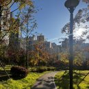 배정보이비인후과의원 이미지