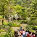 임계초등학교 병설유치원 이미지