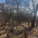 성환공원식당 | 2026/02-철원여행