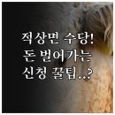 적상면 행정복지센터 이미지
