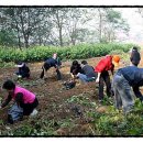 안성시시설관리공단 노동조합 이미지