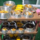 동안유치원 | 김포 애견 유치원) 김포유치원 락! 1년동안 맡기고 보낸 찐 내돈내산 후기