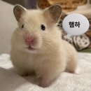 대전 충남대 사진관 후기 ⭐️ 엔틱 감성 스폿라이트