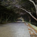 봉수대로-R 이미지