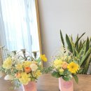 사파동317 이미지