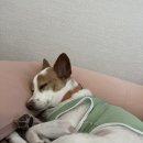 우성 차 병원 | 임신준비 | 상봉마리아 최화영 쌤 인공수정 1차 과정 비용 정리 🍬 계획대로 되는 건 하나 없어~~