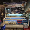 [강릉] 경포대 퀄리티 보장 조개구이 맛집 추천 '화니조개구이'