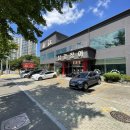 남강장어 이미지