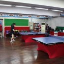 개방탁구 이미지