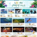 해피투어여행사 이미지