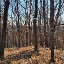 한 가축인공수정소 이미지