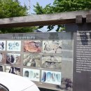 복룡동 시민문화공원 네이버블로그