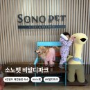 펫나라 | 소노펫 비발디파크 스위트 강원도 애견동반 숙소 후기