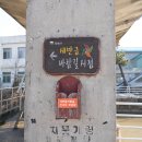 진봉면사무소 이미지