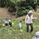 동일자연어린이집 이미지