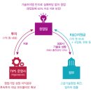 팁스 이미지