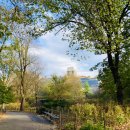 센트럴파크 11 이미지