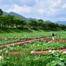 지리산호수공원 이미지