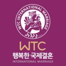 떠블유티씨 머니투데이