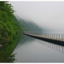 화천산소길 이미지