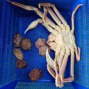 대일수산 이미지