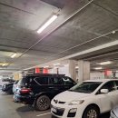 이케아 앞 야외주차장 횡단보도 | [​호주 워홀 D+44] 차박 준비 기록 퍼스 이케아 재방문 후기