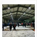 중매인55호 이미지