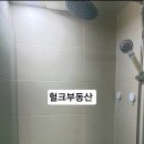 신해화학 네이버블로그