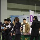 와와 이미지