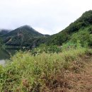 하얀물안개 이미지