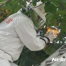 논공119안전센터 이미지