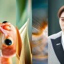 유엔미 사기 아닌 안전한곳
